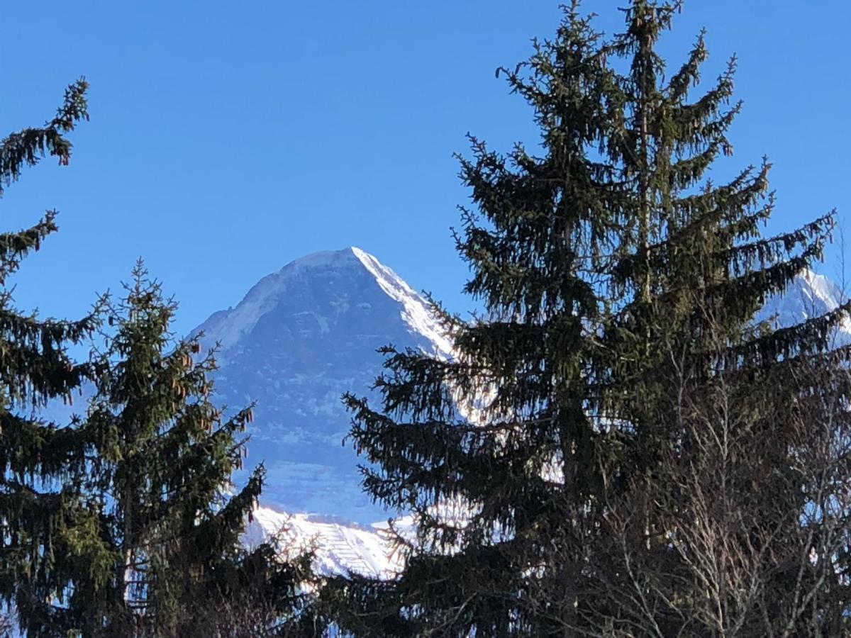 Wohnung Mit See Und Bergsicht Im Vier Sterne Hotel Beatenberg Exterior foto